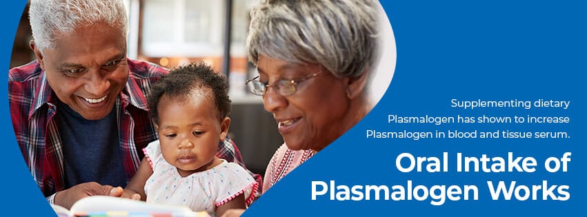 plasmalogen function